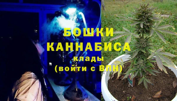 амф Аркадак