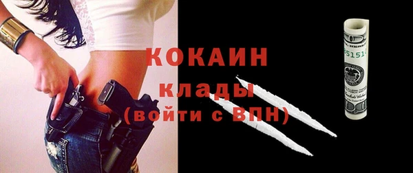 ешки Арсеньев