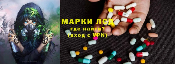 ешки Арсеньев