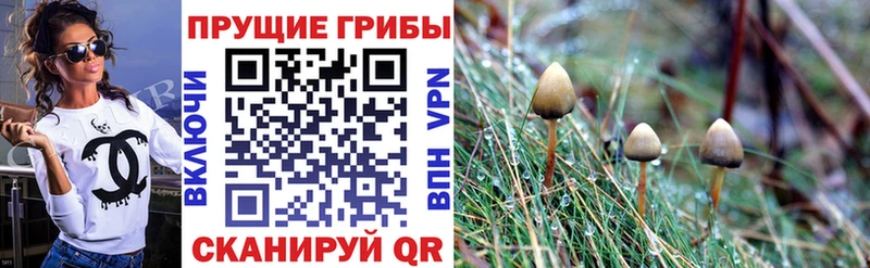 купить наркотики цена  Тарко-Сале  Псилоцибиновые грибы Magic Shrooms 